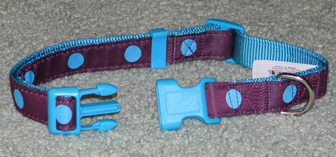 Aqua dots and Burgandy Dog Collar