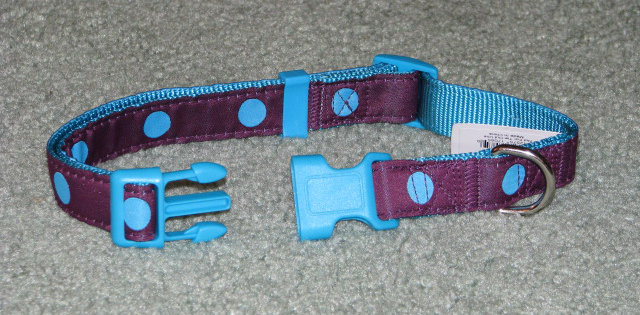 Aqua and burgandy dog collar opened up.