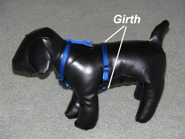 Dog harness showing girth.
