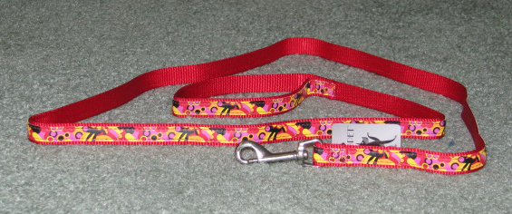 Colorful Leash by BMB Pet