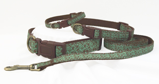 Green collar and leash for dogs.
