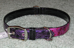 Purple and hot pink dog collar