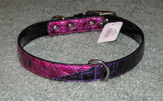Back view of dog collar