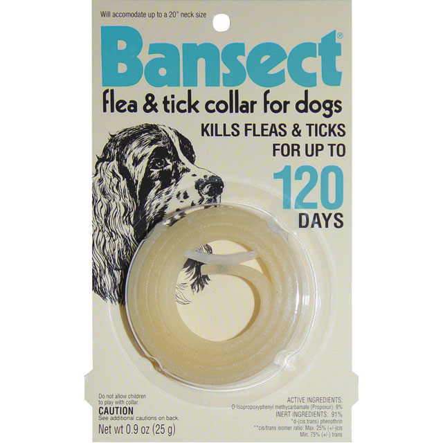 Dog Flea Collar