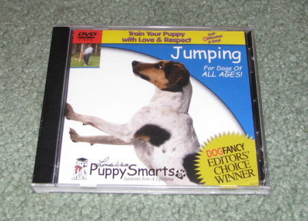 Dog jumping traing video.