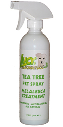 Spray bottle tea tree