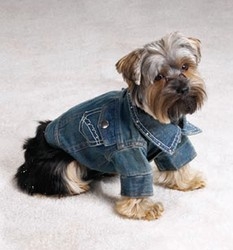 Dog Jean Jacket